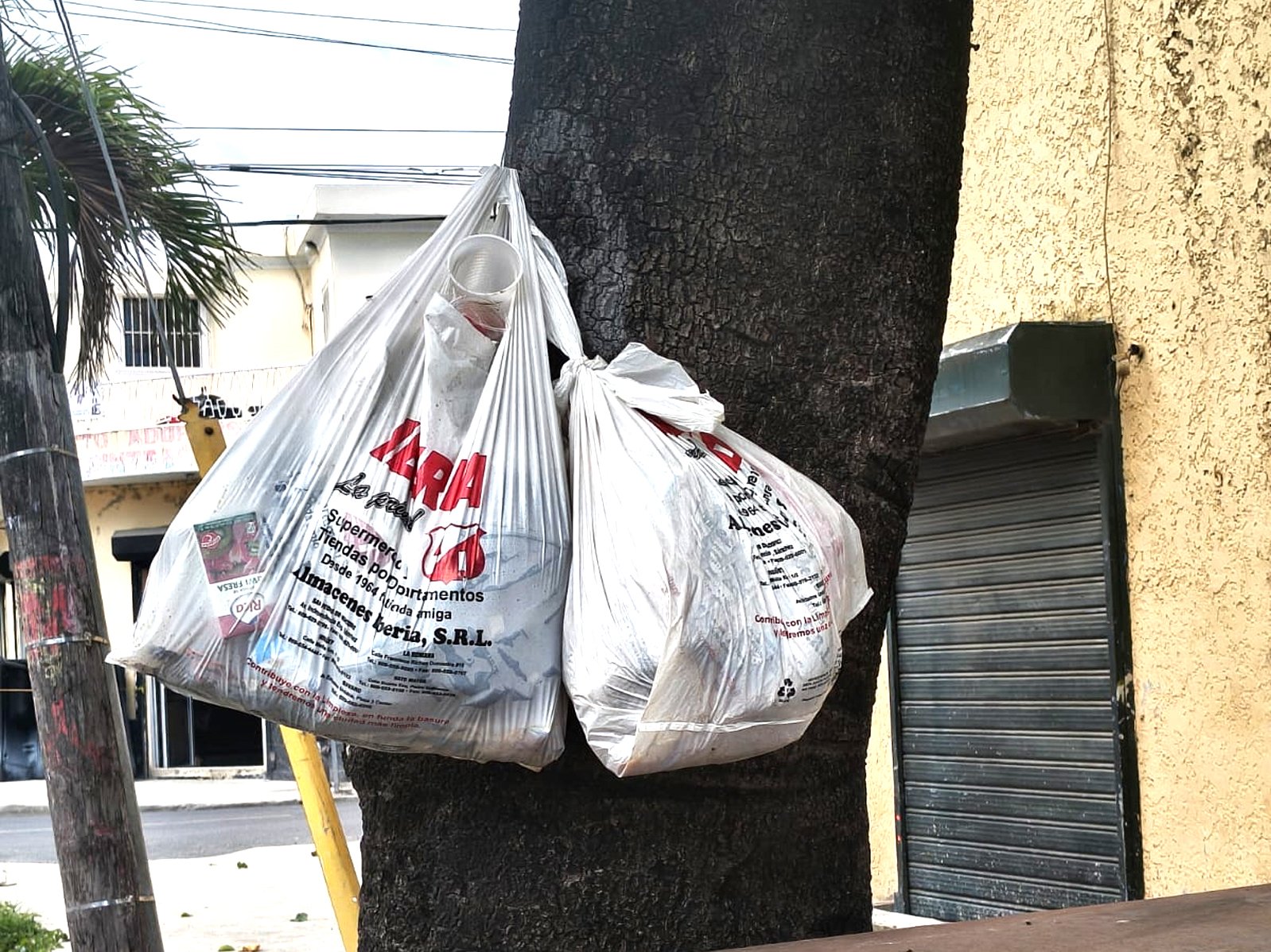basura en árboles 