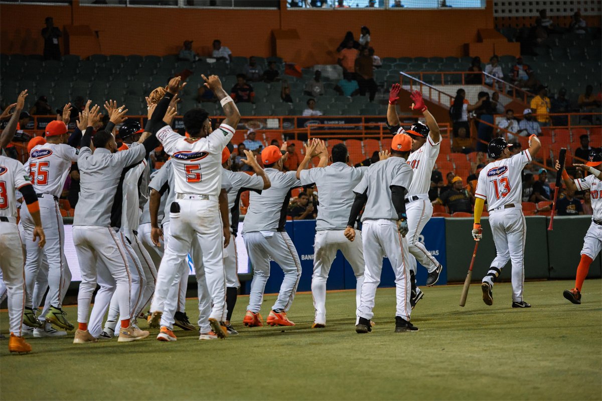 Toros del Este
